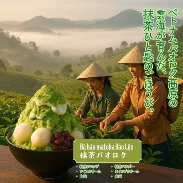 🍵抹茶バオロク — 雲海に包まれた高原から届く、贅沢なかき氷の一杯。
ベトナム中部・ダラット地方、バオロク高原。
朝、雲海に浮かぶように広がる茶畑は、
冷涼な気候と豊かな土壌、そして昼夜の寒暖差に恵まれた
茶づくりに理想的な土地です。

この高原で育つ茶葉は、ひとつひとつ手で摘まれ、
伝統的な製法に現代技術を重ねて磨かれた、
いま世界が注目する “抹茶” へと生まれ変わります。

そんな特別な抹茶を主役に仕立てたのが、
ベトナムデリ珈琲の「抹茶バオロク」。

氷には、名水の地・上高地でつくられた天然氷（氷屋 川久）を使用。
時間をかけてじっくり凍らせた氷は、
ふわふわで口の中で静かにとけていきます。

そこに、香り高い抹茶シロップをたっぷりかけ、
仕上げに抹茶パウダーをひとふり。
ホイップクリームのやさしい甘さ、
もちもちの白玉団子、ふっくら炊き上げたあずき、
そしてバニラアイスのまろやかさが溶け合う、贅沢なひと皿です。

日本とベトナム、高原の自然と人の手しごとが織りなす、
夏のごほうびをぜひ味わってみてください。
🧊 6月24日スタート
#抹茶かき氷 #ベトナム抹茶 #バオロクの茶畑 #上高地の氷使用
#白玉あずき #天然氷スイーツ #五感で味わう夏 #ベトナムデリ珈琲
#かき氷グランプリ #夏の贅沢 #カフェ映えスイーツ